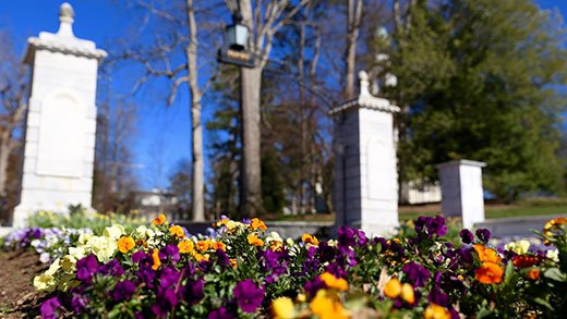 Emory University gate with colorful flowers in the foreground