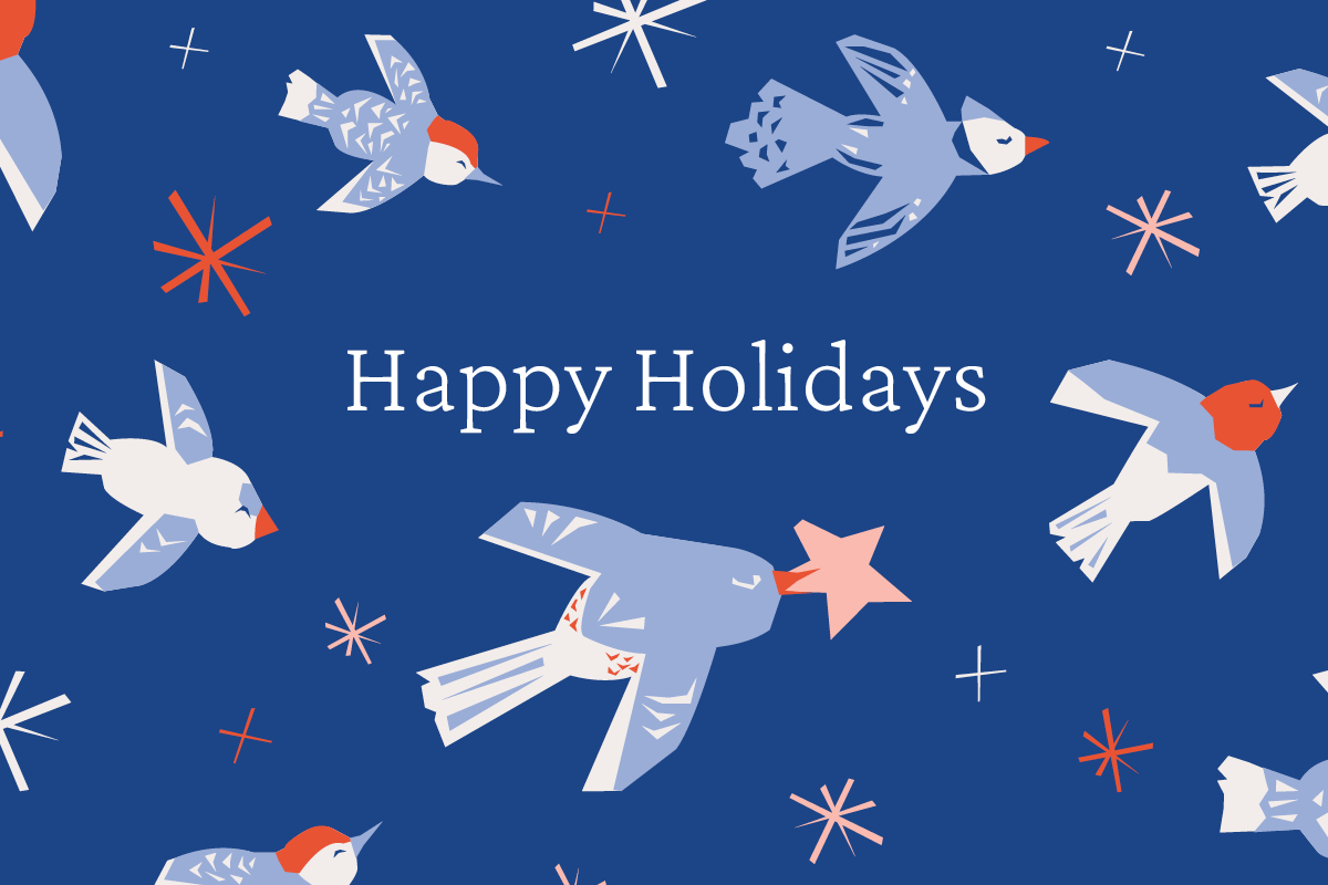 illustration of birds in flight on blue background with text Happy Holidays!