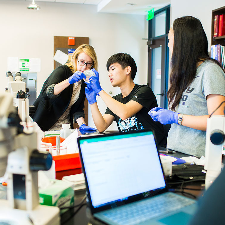 students working with a professor in a chemistry lab